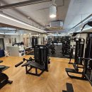 위너피티 이미지