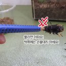 대지사슴농장 이미지