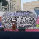 강진-18 이미지