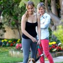 바셋하운드 이미지