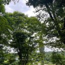 아마빌레펜션 이미지