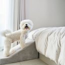 이산동물의료센터 이미지