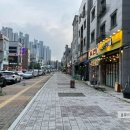 벧엘애견 이미지