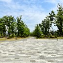 세종중앙공원 이미지