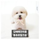 봉쥬르 밀크숑 네이버블로그