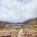 카페힐 - 포천시 금화봉길 651-7 | 울산 배꽃 오차드힐베이커리카페 개화 상태 후기