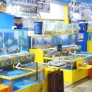 가락시장역6번출입구 이미지