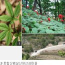 토함산 민박 이미지