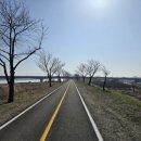 생림마사터널자전거카페앞 이미지