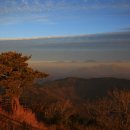 구봉산전망대 이미지