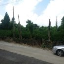 표선면사무소 이미지