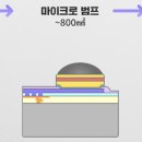 인터커넥션 이미지