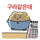 이런 날씨 다시는 안 올 줄 알았어