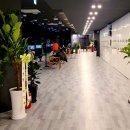 스윙박스 이미지