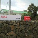 제주폴리폴리 이미지