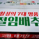 횡성명품배추 이미지