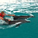 돌고래약품 이미지