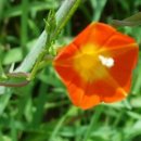 거산1리 이미지