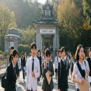 부산마케팅고등학교 이미지