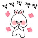 세라떼(SERATTE) 네이버블로그