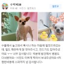 퍼피앤뷰티