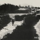 자연환경(주) 이미지