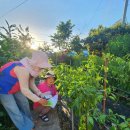 거제시농업기술센터 이미지