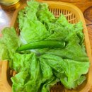 우림관화로구이 반월점 | 안산 반월역 우림관 화로구이 무한리필 맛집 :: 돼지갈비나 삼겹살 선택 필수
