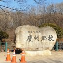 한인학선 입교 4. 국가지교(國家之敎) 7. 新羅國學(신라국학)