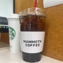 에그망고 이미지