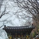 들메 | 여수 향일암 여행, 남해 바다 절벽 위 일출 명소 향일암 다녀온 후기