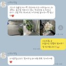 미쁘다캔들 이미지