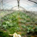 병팔농장 이미지