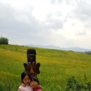 하전농장 이미지