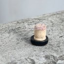 토니테일러 이미지