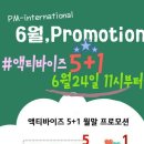 독일피앰