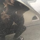 스팀불스