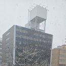 서울하나비 삿포로 최종정산및 25년도 연간 결과입니다. 이미지