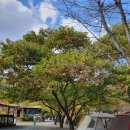 하늘땅별땅 캠핑장 이미지