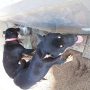 김종래농장 이미지