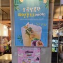 카페아리보 이미지