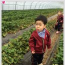 무내미농장 이미지