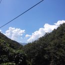 시명농장 Daum카페