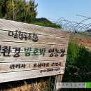 다올협동조합 이미지