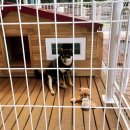 카페달다롱 이미지