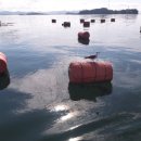 영목수산좌대 이미지