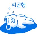 스시준 이미지