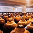주(酒)량 이미지