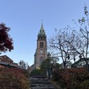 회현2길 | 서울 단풍나들이 추천코스! (피크닉,로컬스티치회현,명동성당뷰 카페)