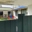 그린트리약국 이미지